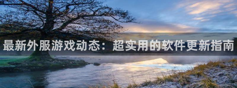 赢咖娱乐下载：最新外服游戏动态：超实用的软件更新指南