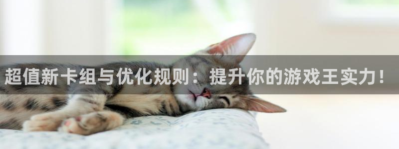 赢咖娱乐平台登陆：超值新卡组与优化规则：提升你的游戏王实力！