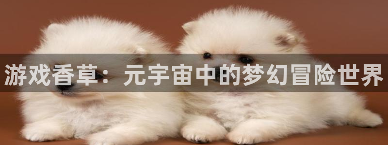 赢咖娱乐官网：游戏香草：元宇宙中的梦幻冒险世界