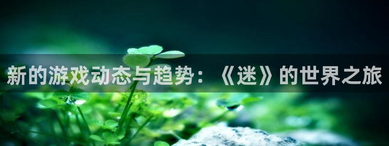 赢咖娱乐app：新的游戏动态与趋势：《迷》的世界之旅
