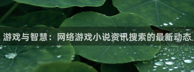 赢咖娱乐平台注册：游戏与智慧：网络游戏小说资讯搜索的最新动态