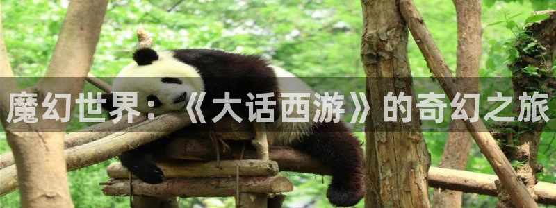 赢咖娱乐2首页登录：魔幻世界：《大话西游》的奇幻之旅