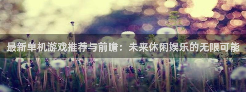 赢咖娱乐娱乐：最新单机游戏推荐与前瞻：未来休闲娱乐的无限可能