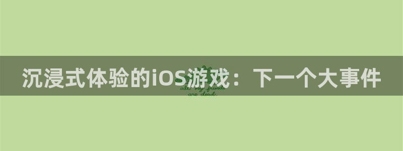 赢咖娱乐线路测试：沉浸式体验的iOS游戏：下一个大事件