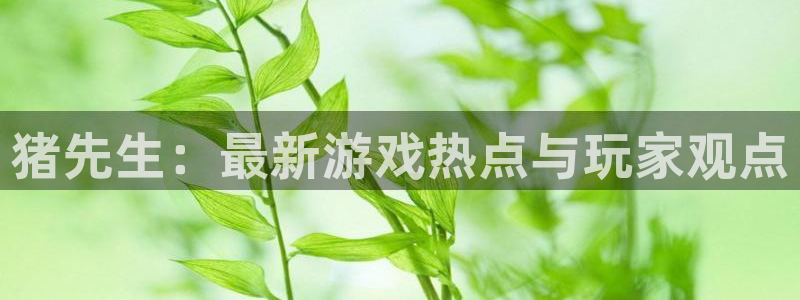 赢咖娱乐平台注册资金多少：猪先生：最新游戏热点与玩家观点