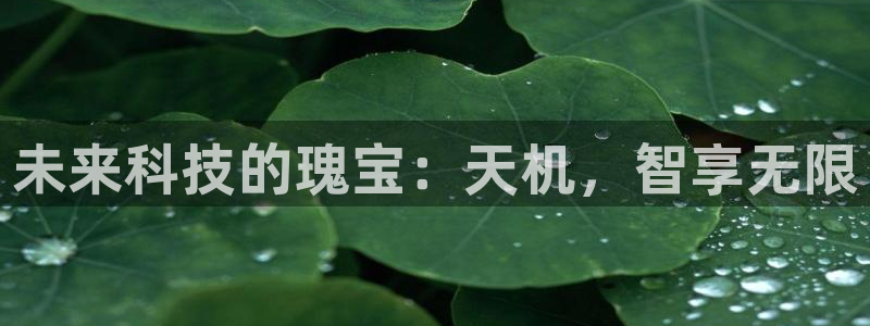 赢咖娱乐在线登录：未来科技的瑰宝：天机，智享无限