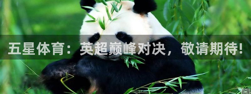 五星体育今天节目表