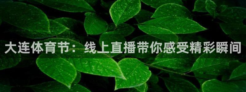 五星体育三打一总决赛