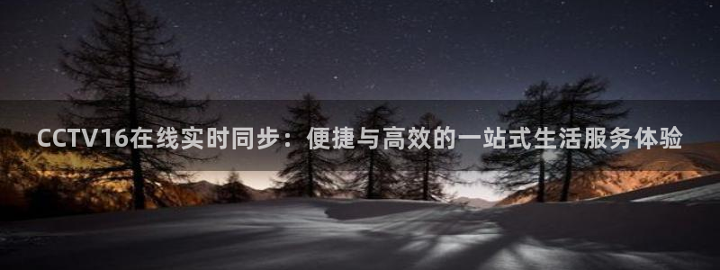 上海五星体育在线直播免费观看：CCTV16在线实时同步：便捷与高效的一站式生活服务体验