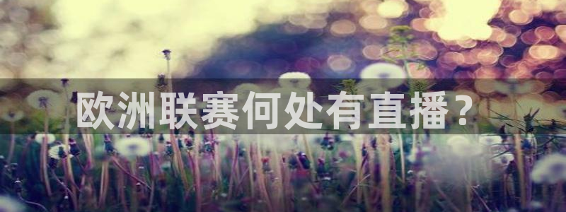 上海五星体育频道在线直播：欧洲联赛何处有直播？
