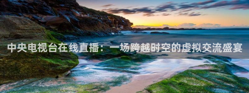 上海五星体育今天节目表：中央电视台在线直播：一场跨越时空的虚拟交流盛宴
