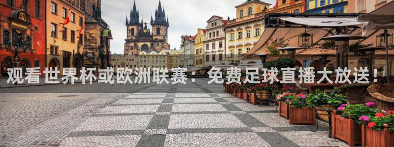 2024五星体育f1回放在哪看：观看世界杯或欧洲联赛：免费足球直播大放送！