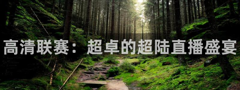 五星体育弈棋耍：高清联赛：超卓的超陆直播盛宴