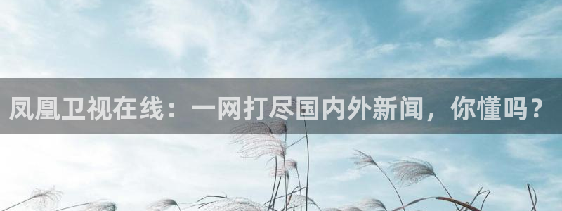看五星体育：凤凰卫视在线：一网打尽国内外新闻，你懂吗？