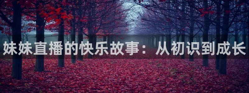 nba直播 五星体育：妹妹直播的快乐故事：从初识到成长