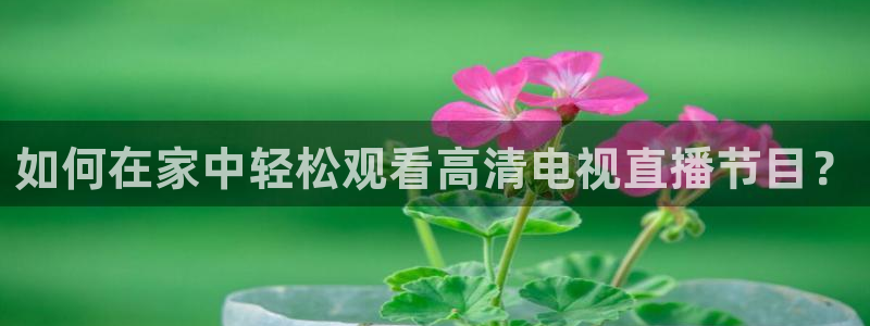 f1直播五星体育直播：如何在家中轻松观看高清电视直播节目？