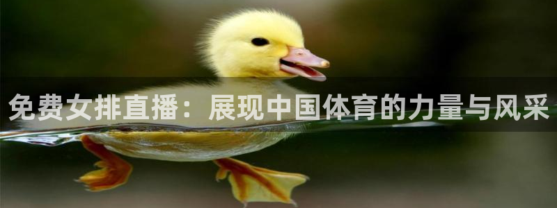 五星体育节目单：免费女排直播：展现中国体育的力量与风采